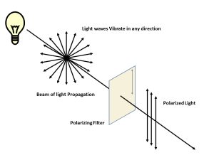 How polarizers work